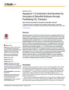 Aquaporin 1 Is Involved in Acid Secretion by ... - Semantic Scholar