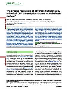 Arabidopsis - Wiley Online Library