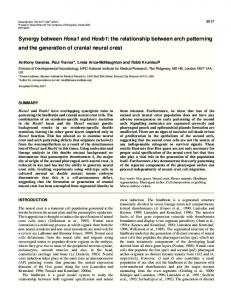 Arch patterning and cranial neural crest generation - Development