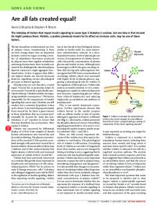 Are all fats created equal? - Nature