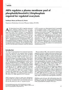 ARF6 regulates a plasma membrane pool of phosphatidylinositol(4,5 ...