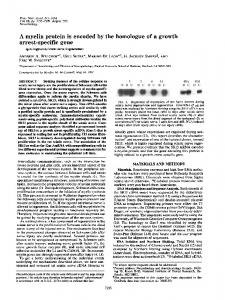 arrest-specific gene - Semantic Scholar