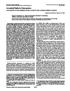 Arrestin/Clathrin Interaction - The Journal of Biological Chemistry