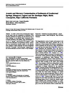 Arsenic and Mercury Contamination of Sediments of ... - Springer Link