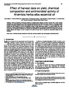 Artemisia herba-alba