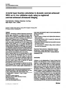 Arterial input function calculation in dynamic contrast-enhanced MRI ...