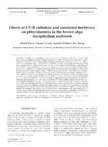 Ascophyllum nodosum - Inter Research