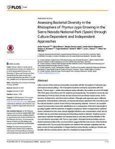 Assessing Bacterial Diversity in the Rhizosphere of Thymus ... - PLOS