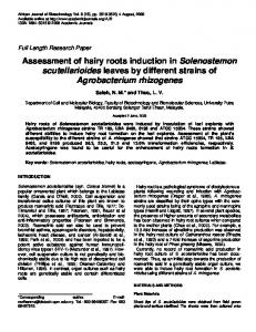 Assessment of hairy roots induction in Solenostemon scutellarioides ...