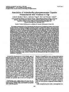 Association of Actinobacillus pleuropneumoniae Capsular ...