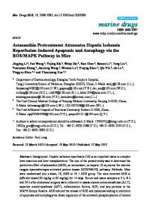 Astaxanthin Pretreatment Attenuates Hepatic