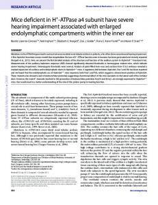 ATPase a4 subunit have severe hearing impairment associated with ...