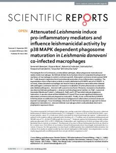 Attenuated Leishmania induce pro-inflammatory ... - Semantic Scholar
