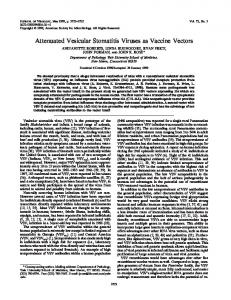 Attenuated Vesicular Stomatitis Viruses as ... - Journal of Virology