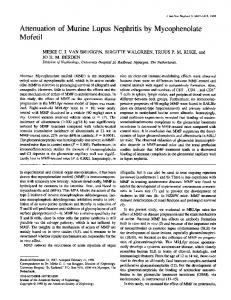 Attenuation of Murine Lupus Nephritis by Mycophenolate Mofetil