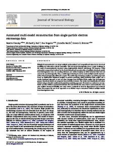 Automated multi-model reconstruction from single-particle electron ...