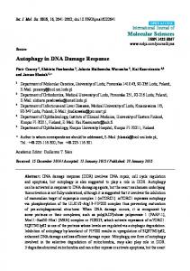 Autophagy in DNA Damage Response - MDPI