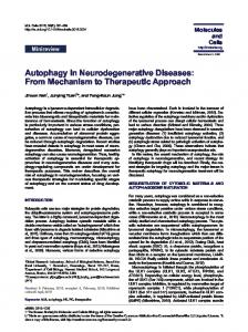 Autophagy in Neurodegenerative Diseases: From