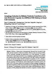 Autophagy Induction by Silibinin Positively