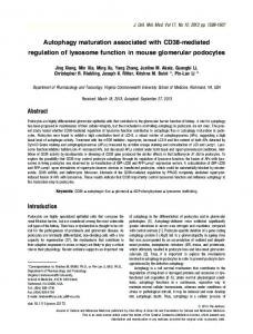 Autophagy maturation associated with ... - Wiley Online Library