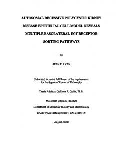 autosomal recessive polycystic kidney disease ... - OhioLINK ETD