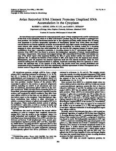 Avian Retroviral RNA Element Promotes ... - Journal of Virology