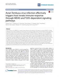 Avian Tembusu virus infection effectively triggers host innate immune ...