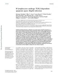 B lymphocytes undergo TLR2-dependent ... - Semantic Scholar