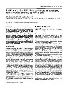 B2 RNA and 7SK RNA, RNA polymerase Ill transcripts - BioMedSearch