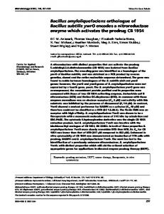 Bacillus amyloliquefaciens orthologue of Bacillus subtilis ... - CiteSeerX