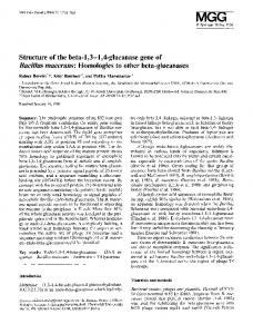 Bacillus macerans - Springer Link