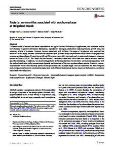 Bacterial communities associated with