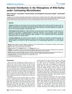 Bacterial Distribution in the Rhizosphere of Wild Barley ... - Diva Portal