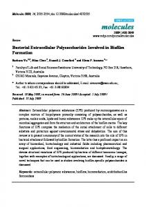 Bacterial Extracellular Polysaccharides Involved in Biofilm ... - MDPI