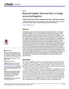 Bacterial Flagella - Semantic Scholar