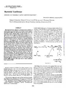 Bacterial Luciferase