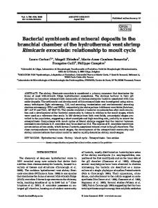 Bacterial symbionts and mineral deposits in the branchial chamber of ...