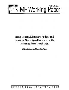 Bank Losses, Monetary Policy, and Financial Stability ... - SSRN papers