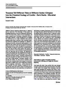 Bark Beetle - Department of Entomology