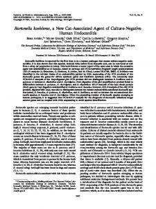 Bartonella koehlerae, a New Cat-Associated Agent of Culture ...