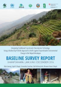 baseline survey report