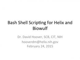 Bash Shell Scripting (PDF) - Helix Systems