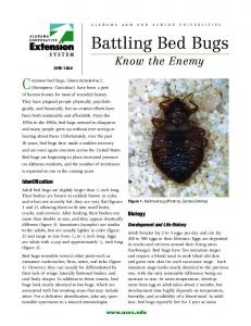 Battling Bed Bugs - Auburn University