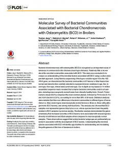 (BCO) in Broilers - PLOS