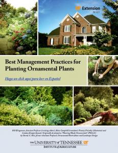 Best Management Practices for Planting Ornamental Plants