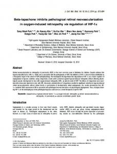 Betalapachone inhibits pathological retinal ... - Wiley Online Library