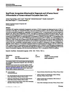 Bezafibrate Upregulates Mitochondrial Biogenesis