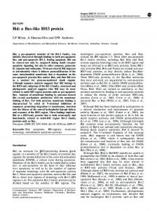 Bid: a Bax-like BH3 protein - CiteSeerX