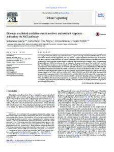 Bilirubin mediated oxidative stress involves antioxidant response ...