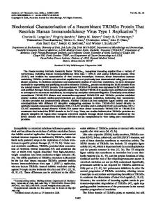 Biochemical Characterization of a Recombinant TRIM5 ... - CHEETAH